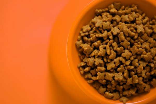 What Are the Best Practices for UK Pet Food Brands to Advertise on Social Media?